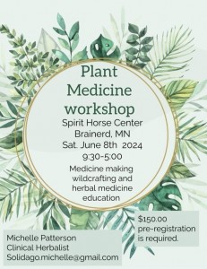 Plant Medicine